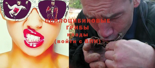 винт Касимов