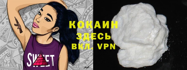 винт Касимов