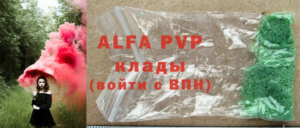 ПСИЛОЦИБИНОВЫЕ ГРИБЫ Каменка