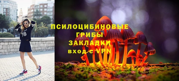 винт Касимов