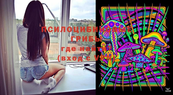 винт Касимов